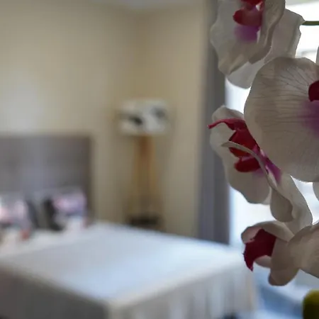 Appartement Cozy With A Sea View *